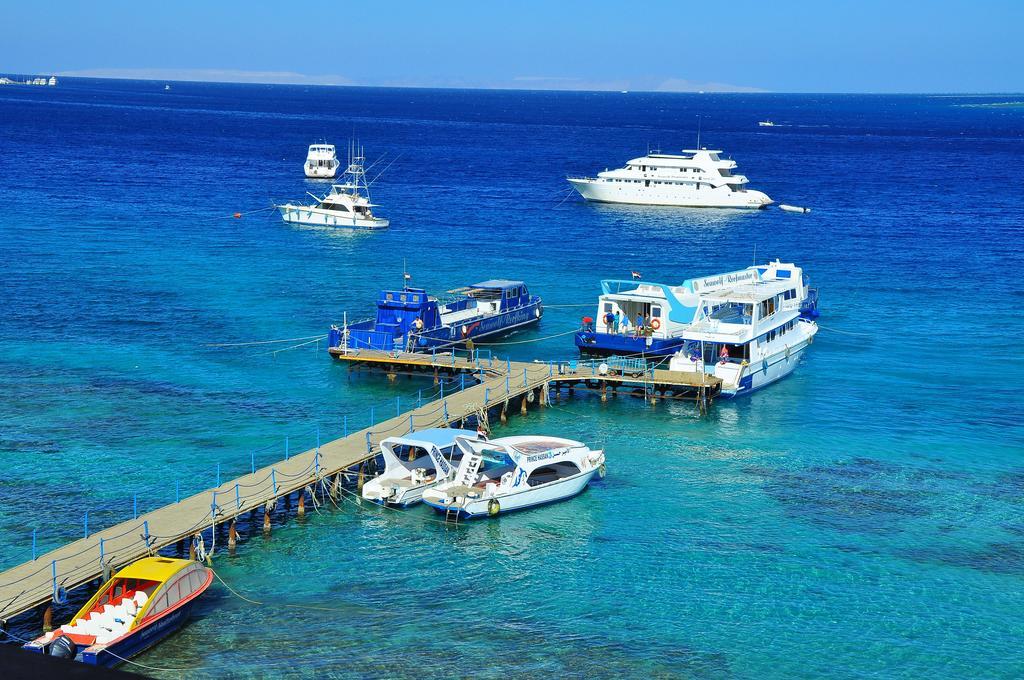 Alia 4* Hurghada